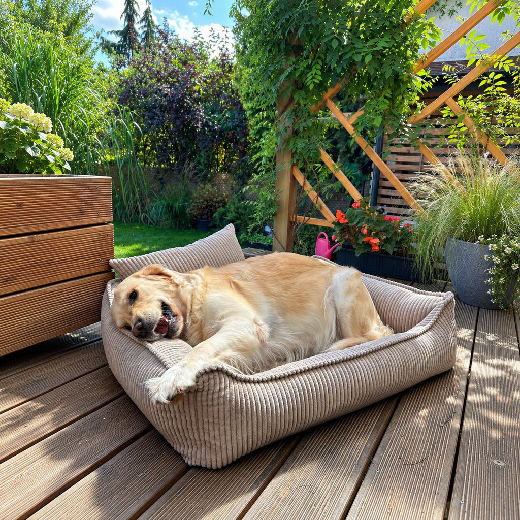 Nino Corduroy Dog Basket Bed with Removable Cover – Olive Green, S