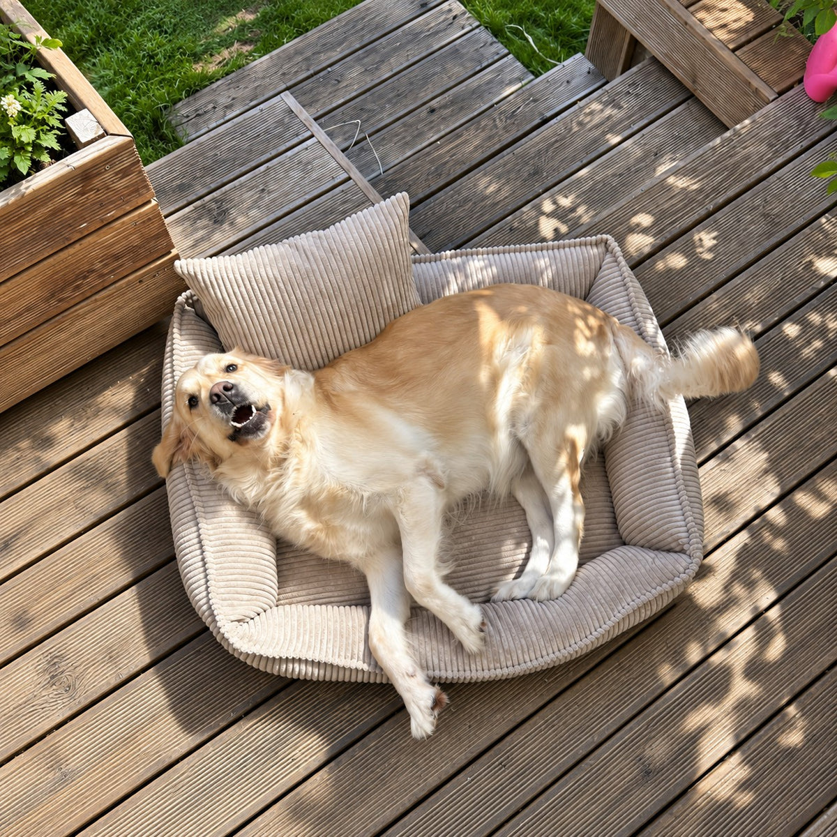 Nino Corduroy Dog Basket Bed with Removable Cover – Olive Green, S