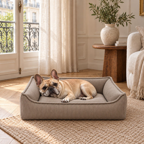 Nino Corduroy Dog Basket Bed with Removable Cover – Olive Green, S